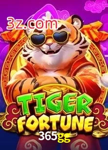365gg